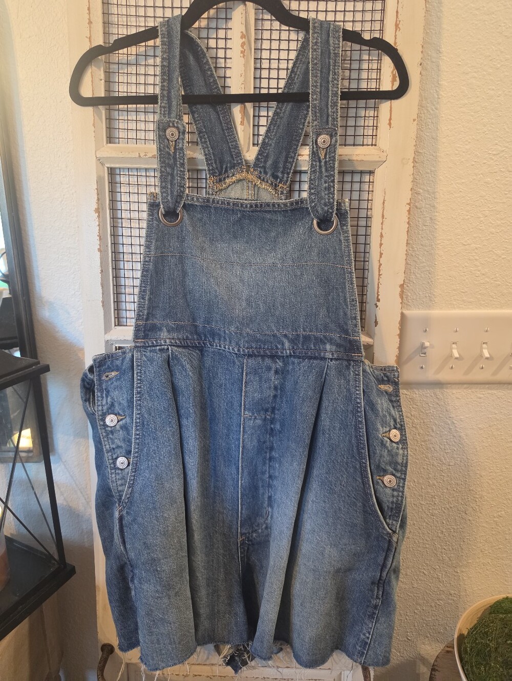 NWT Free People Overalls